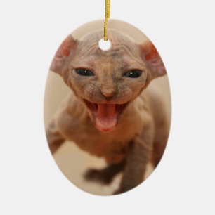 Décoration En Céramique Chaton mignon de sphynx avec la langue