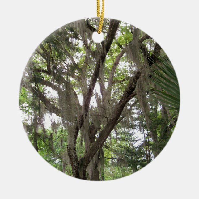 Décoration En Céramique chêne avec mousse espagnole agitant dans les branc (Devant)