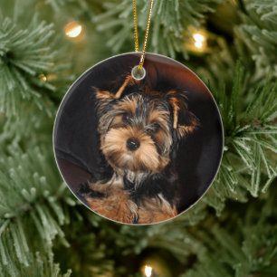 Décoration En Céramique Cher Yorkshire Terrier Yorkie Chien chiot