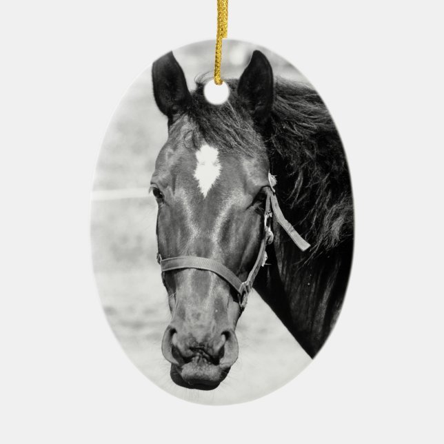 Décoration En Céramique Cheval blanc noir (Devant)