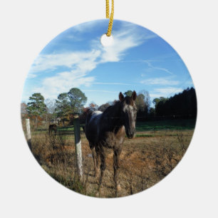 Décoration En Céramique Cheval brun Coco et Crème