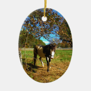 Décoration En Céramique Cheval Peint,