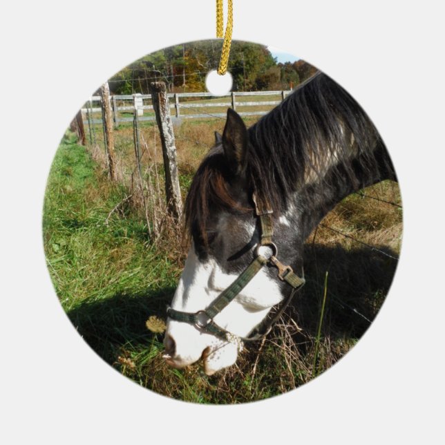 Décoration En Céramique Cheval Peint, Manger Reine Ann Fleur dentelle (Devant)
