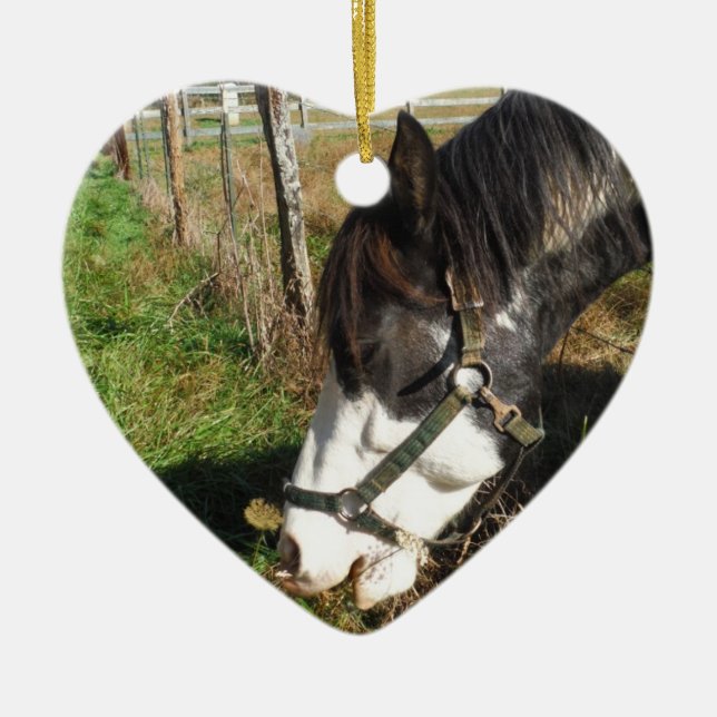 Décoration En Céramique Cheval Peint, Manger Reine Ann Fleur dentelle (Devant)