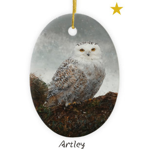 Décoration En Céramique Chevêche des neiges gris Peinture d'oiseaux Année