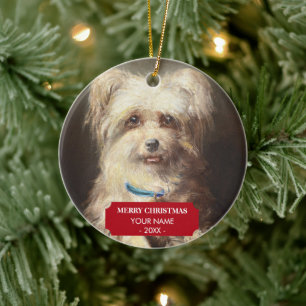 Décoration En Céramique Chien Chat Photo Animal Memorial Cadeau Portrait N