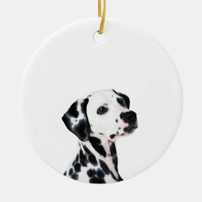 Décoration En Céramique Chien dalmate mignon (Devant)