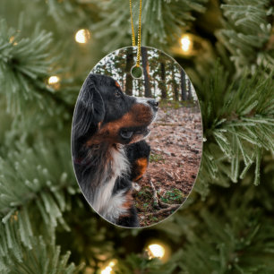 Décoration En Céramique chien de montagne bernois en forêt
