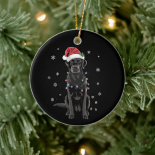 Décoration En Céramique Chien en pyjama avec lumières de sapin de Noël Lab