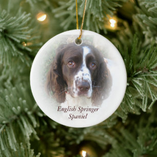 Décoration En Céramique Chien Springer Spaniel Anglais Noël