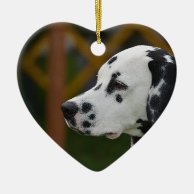 Décoration En Céramique Chiot dalmatien mignon (Devant)