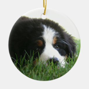 Décoration En Céramique Chiot de Bernese