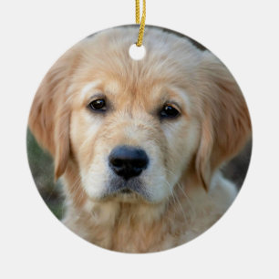 Décoration En Céramique Chiot Golden Retriever