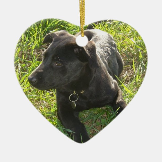 Décoration En Céramique Chiot noir de berger allemand de laque (Devant)