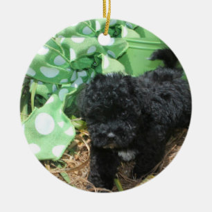 Décoration En Céramique Chiot noir de Maltipoo