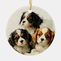 Chiots Cavalier King Charles Spaniel Noël