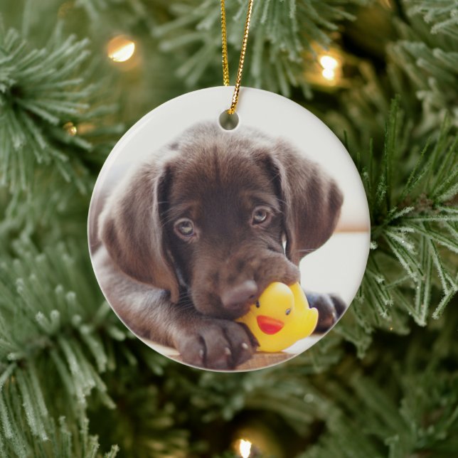 Décoration En Céramique Chocolate Labrador Puppy With Toy Duck (Arbre)