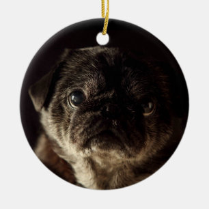 Décoration En Céramique Chubbs le noir de Wampug sur l'ornement noir