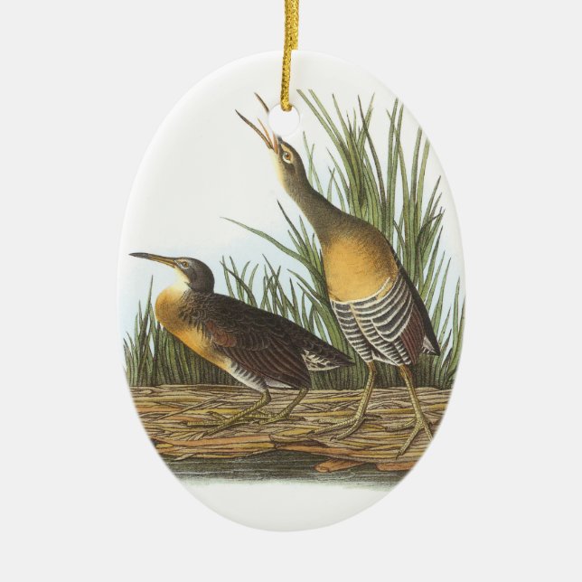 Décoration En Céramique Clapper Rail par Audubon (Devant)