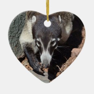 Décoration En Céramique Coati flairé blanc adorable