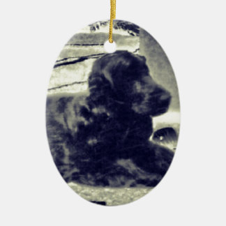 Décoration En Céramique Cocker