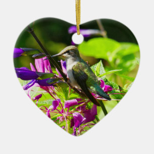 Décoration En Céramique Colibri sur Menthe Colibri Nature Colorée