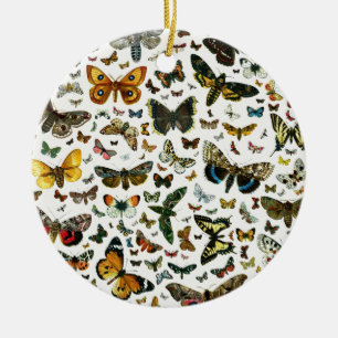 Décoration En Céramique Collage des papillons de nuit et des papillons de 