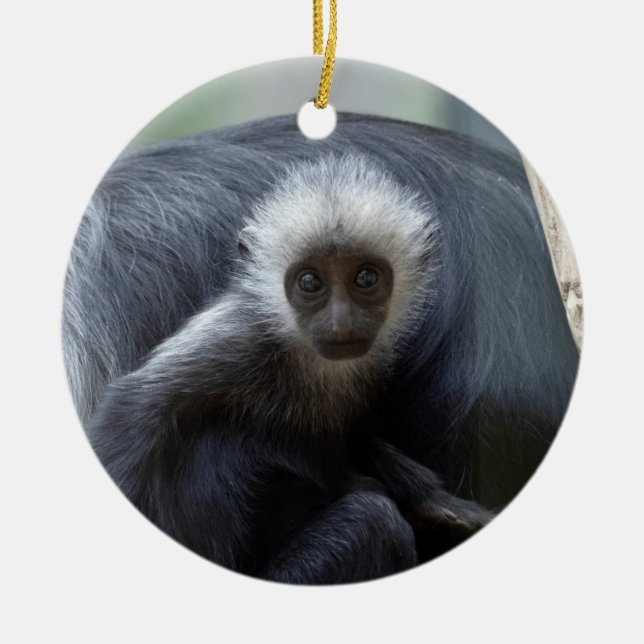 Décoration En Céramique Colobus polykomos (Devant)