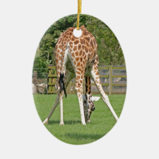 Décoration En Céramique Conception de girafe