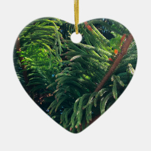 Décoration En Céramique conifère à feuillage persistant de pin