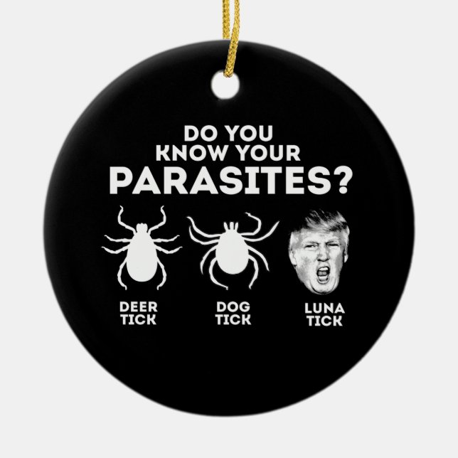 DÉCORATION EN CÉRAMIQUE CONNAISSEZ-VOUS VOS PARASITES ? (Devant)