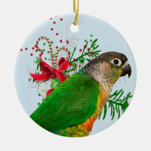Décoration En Céramique Conure chauffe les vacances