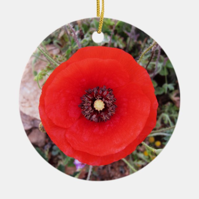 Décoration En Céramique Coquelicot (Devant)