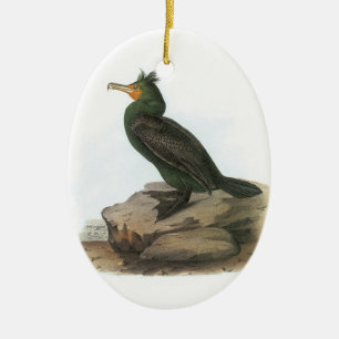 Décoration En Céramique Cormorant à aigrettes par Audubon