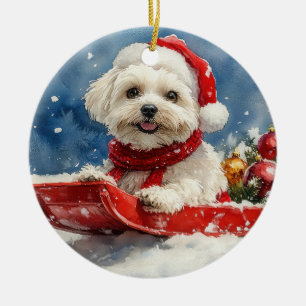 Décoration En Céramique Coton De Tulear en traîneau Laissez tomber la neig