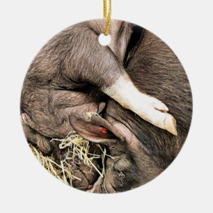 DÉCORATION EN CÉRAMIQUE COUPER LES COCHONS DE SOMMEIL