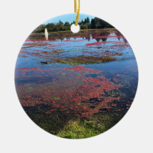 Décoration En Céramique Cranberry Farm, Long Beach, Washington