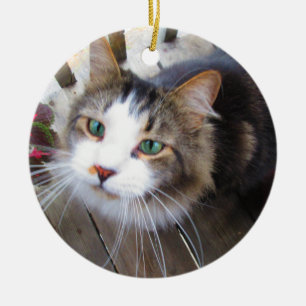 Décoration En Céramique Créez facilement votre propre Ajouter 2 photos Per