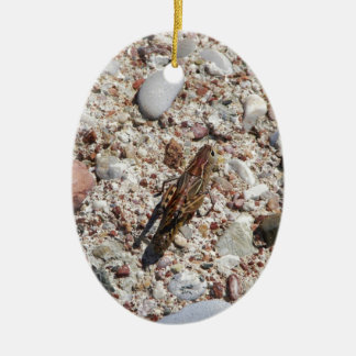 Décoration En Céramique Cricket de Jiminy