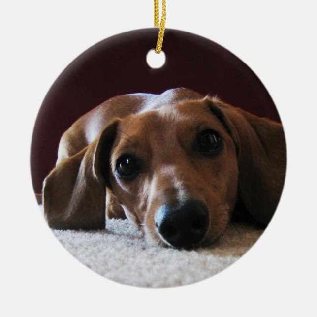 Décoration En Céramique crockettsperfectpic (Devant)