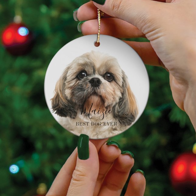 Décoration En Céramique Custom Shih Tzu Dog Personalized Pet Photo (Créateur téléchargé)