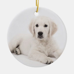 Décoration En Céramique customisé avec la photo de animal de compagnie mém