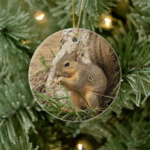 Cute Squirrel Christmas Tree Ornament