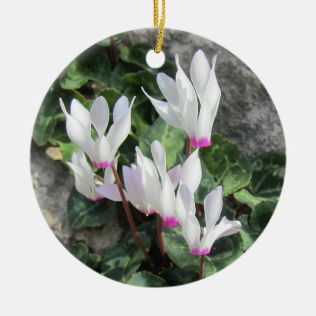 Décoration En Céramique Cyclamen sauvage (Devant)