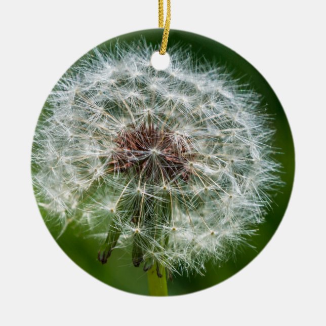 Décoration En Céramique Dandelion Dans La Lumière (Devant)