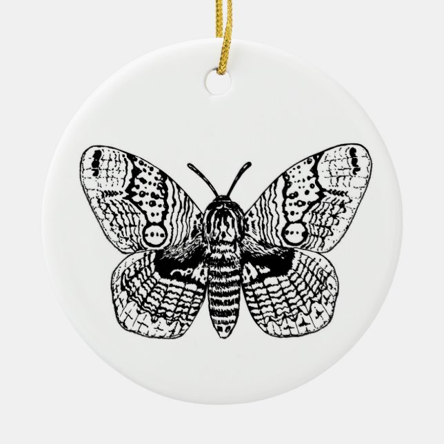 Décoration En Céramique Dessin Brahmin moth (Devant)