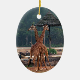 Décoration En Céramique Deux girafes se réconfortent dans un zoo