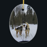 Décoration En Céramique Dog Sledding à Québec, Canada<br><div class="desc">View while riding in a sleigh g pulled by beautiful & happy dogs à Québec,  Québec,  Canada. Dog sledding through a quiet forest trail un of our favorite things on our trip to Québec. Photo prise en février 2012.</div>