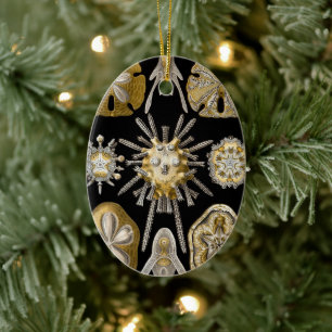 Décoration En Céramique Dollars de Sable Vintage Oursins par Ernst Haeckel