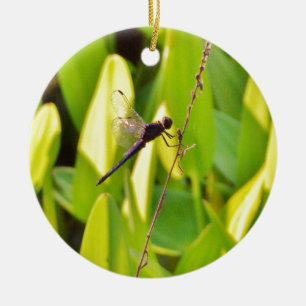Décoration En Céramique Dragonfly Blue et noir sur l'herbe.